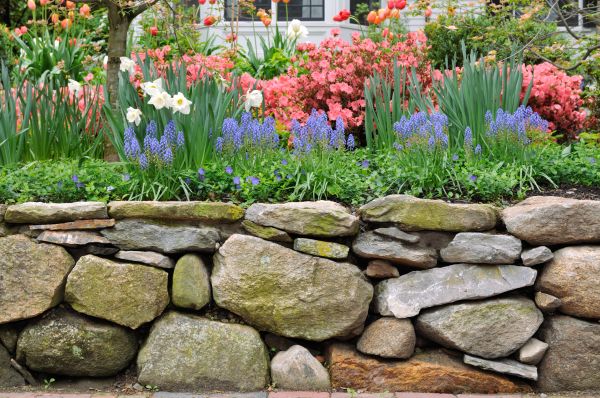 Stone Wall Hardscaping in Chester