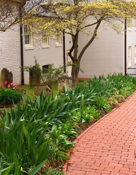 Brick Flatwork Repair in Chester